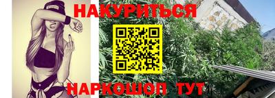 ГАЛЛЮЦИНОГЕННЫЕ ГРИБЫ Вышний Волочёк