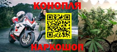 ГАЛЛЮЦИНОГЕННЫЕ ГРИБЫ Вышний Волочёк
