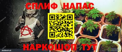 таблы Вязьма