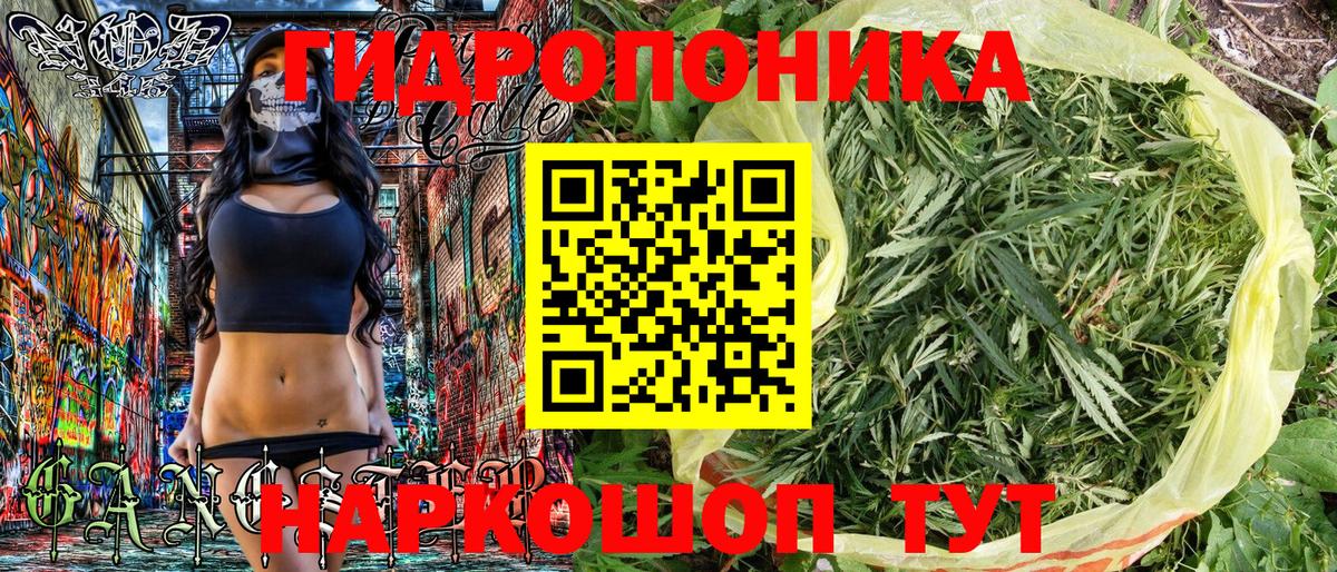 МАРИХУАНА Bruce Banner  Каннабис план  Вход с VPN  Каннабис план  Шишки марихуана семена  Кореновск 